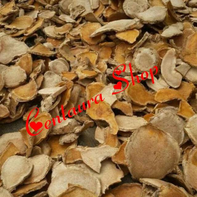 

Temulawak Kering Asli 100gr