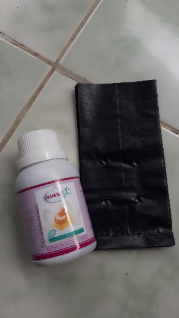 Polybag Kecil Hitam Ukuran 15cm 10 Lembar