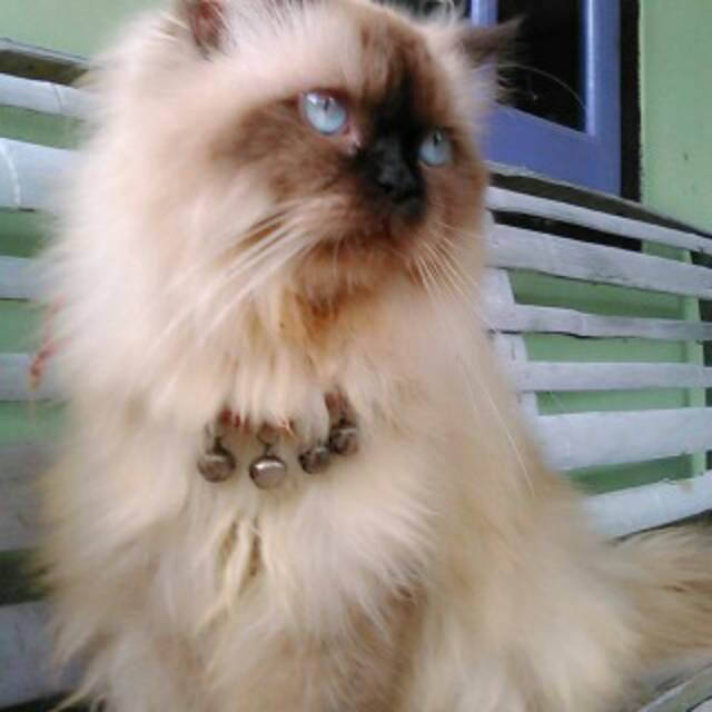 siti20rahil20