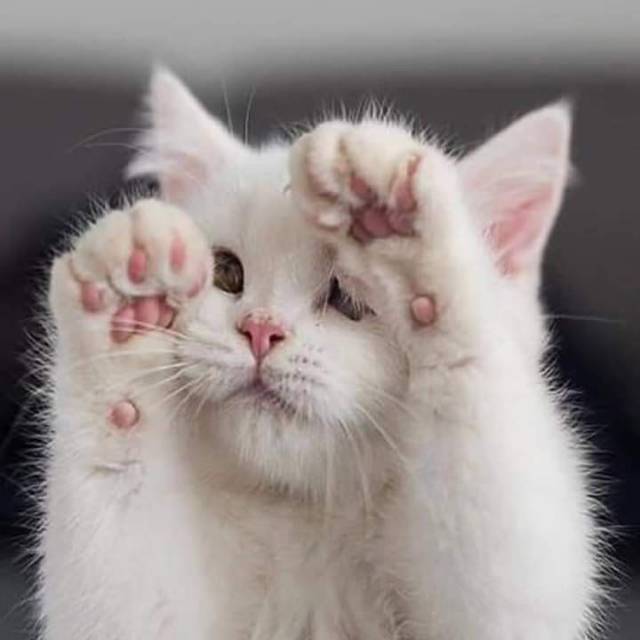 popieswirananggapati