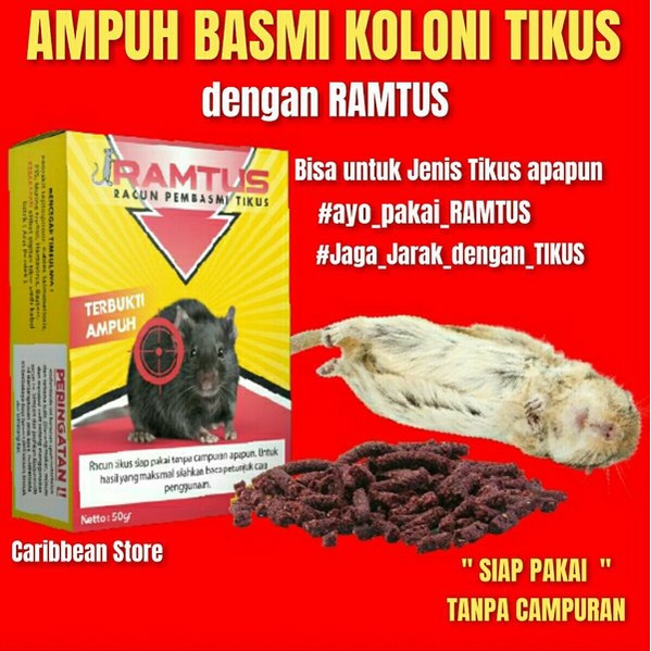 RAMTUS Pembasmi Tikus Rumah Paling Ampuh umpan makanan tikus