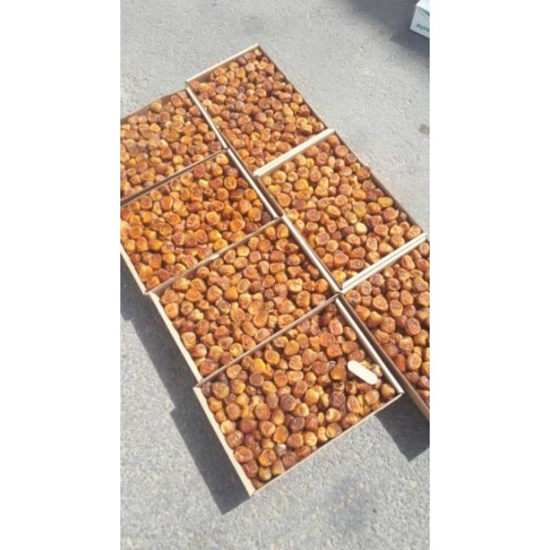 

3 kg kurma Sukari Segar