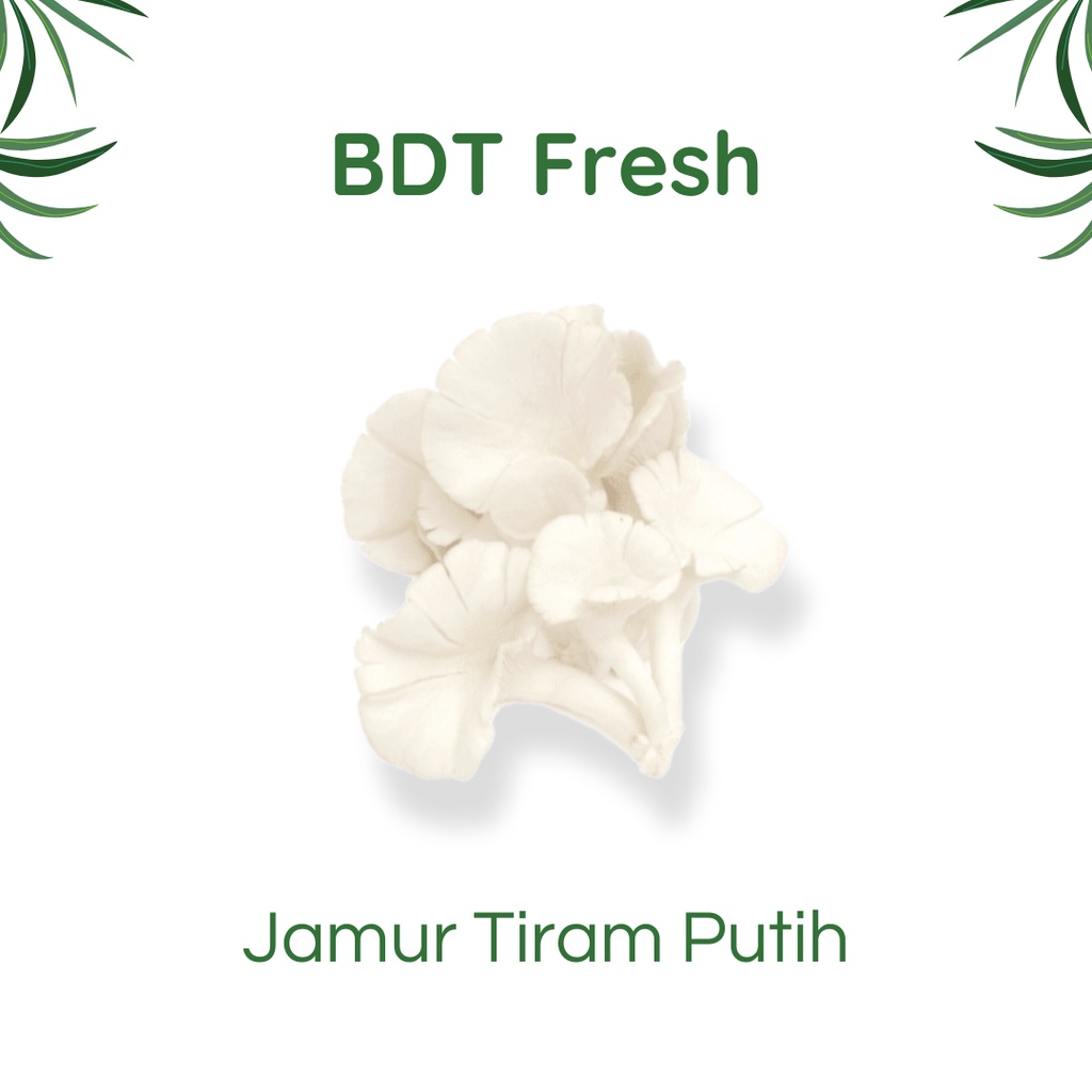 

Jamur Tiram 250g