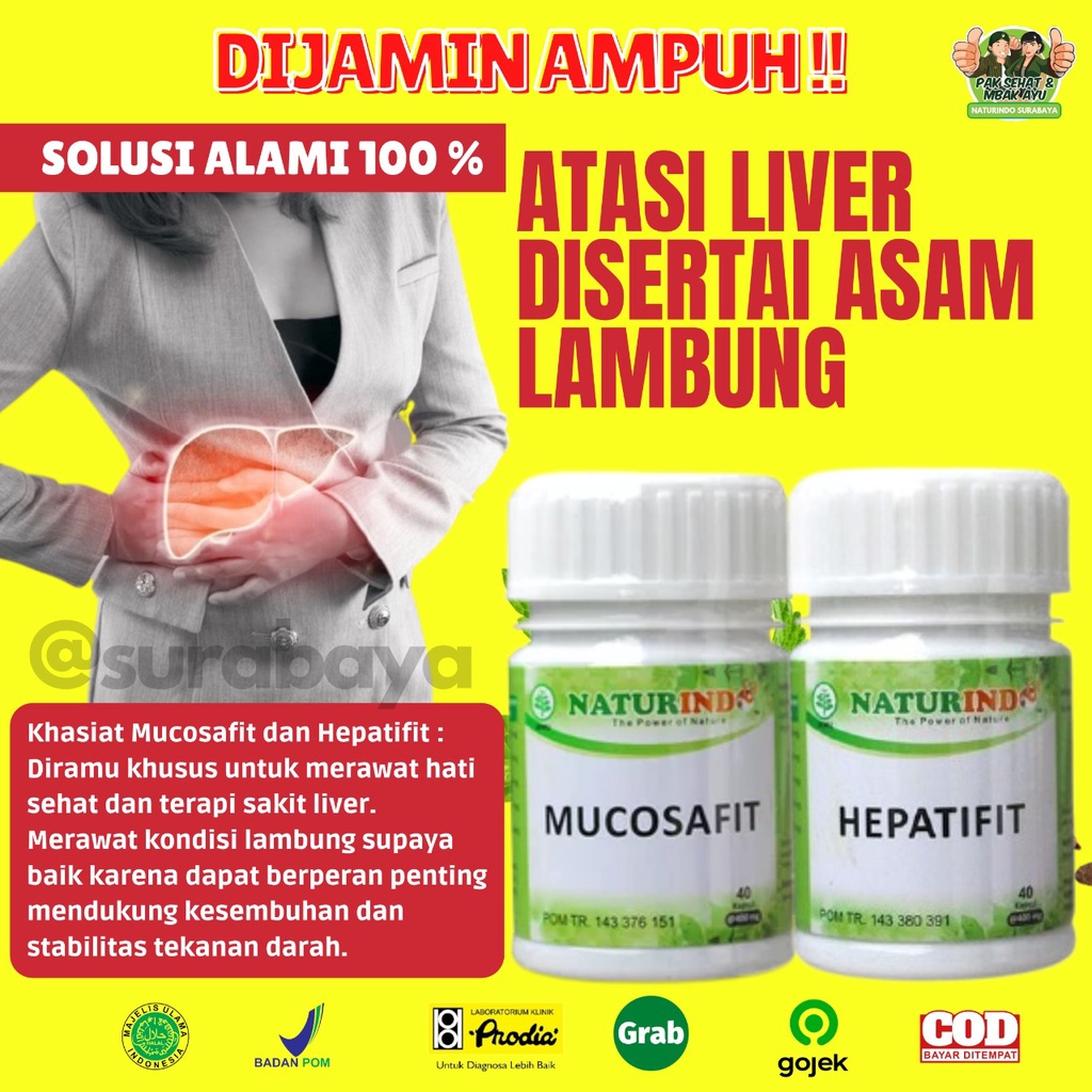 Obat Sakit Asam Lambung Maag Begah Sendawa Obat Herbal Sakit Maag Obat Asam Lambung Maag Kronis Obat Lambung Ampuh BPOM MUI Herbal MUCOSAFIT Naturindo Surabaya Obat asam lambung GERD naik maag gerd kronis tungkak lambung sakit perut mual muntah Herbal-LAMBUNG+LIVER