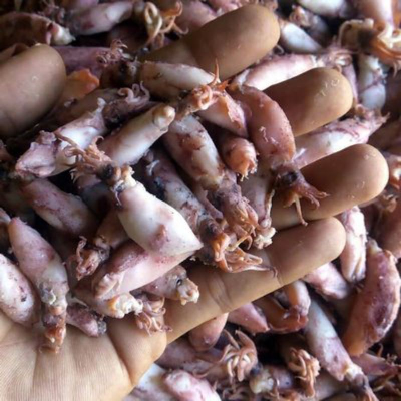 

cumi cimi asin segar 250gm