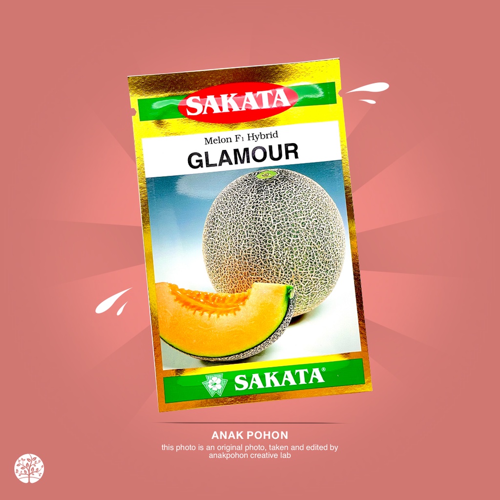 (1 PACK) Benih Melon GLAMOUR Orange F1 Hibrida Seeds - SAKATA - 100 SEEDS