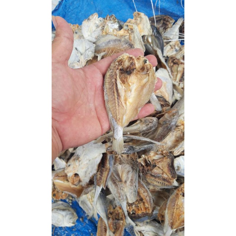 

ikan asin gulama belah tanjung balai /250 gram