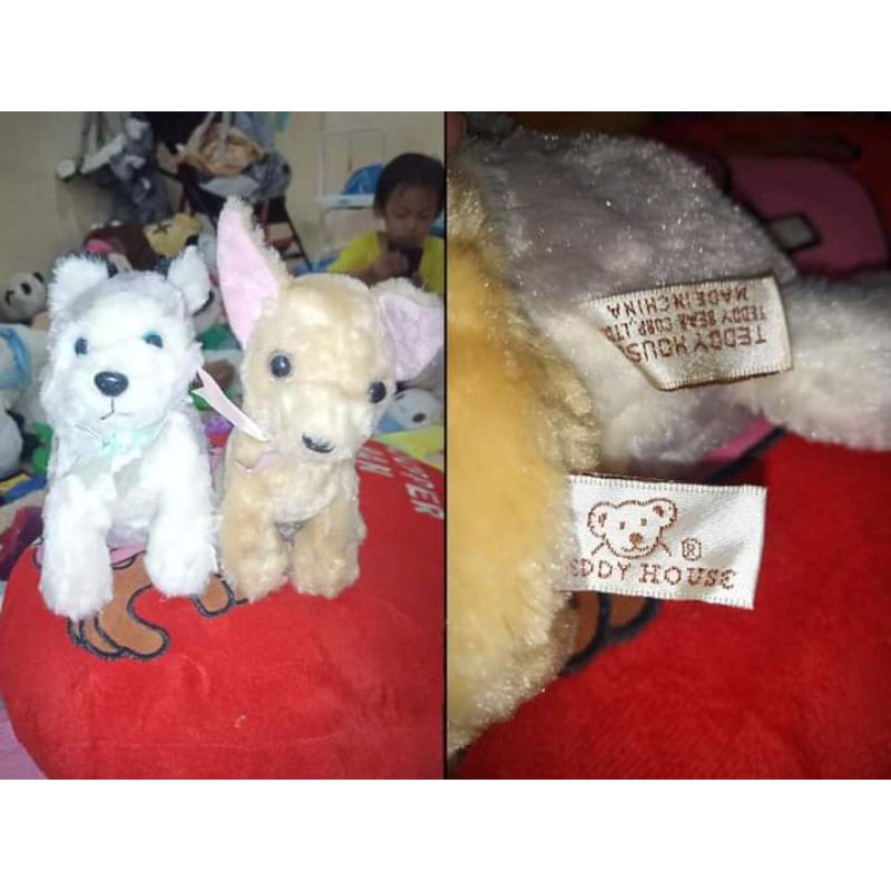 Teddy house