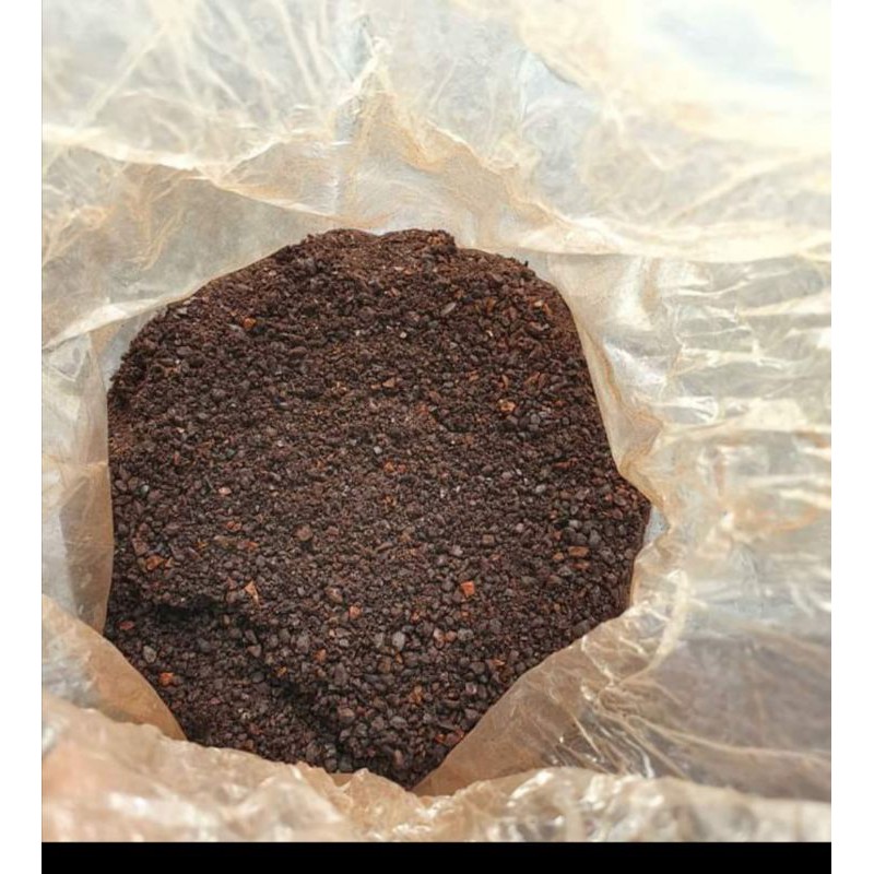 

kopi ule kareeng
