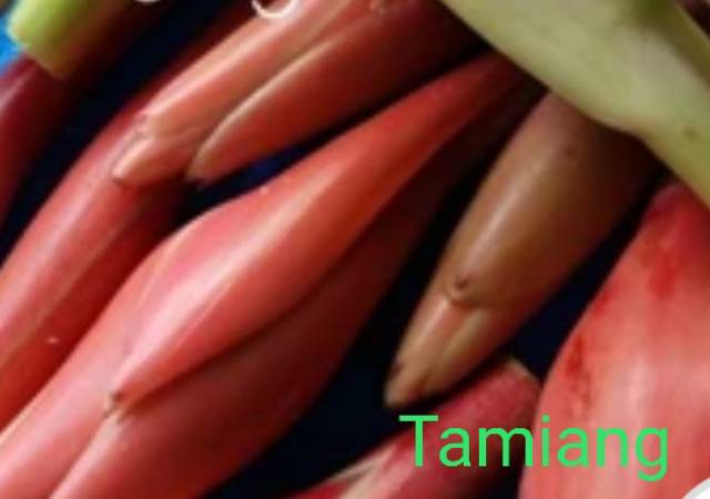 

Bunga Kecombrang Segar Merah dan Pink 500 Gram Fresh Organik