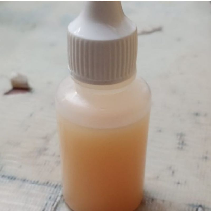 Essen oplosan  d13 umpan pancing ikan mas oplosan ikan mas