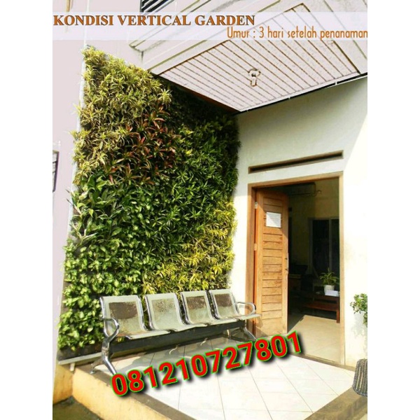 jasa pembuatan taman VERTIKAL garden - jasa pemasangan VERTICAL garden
