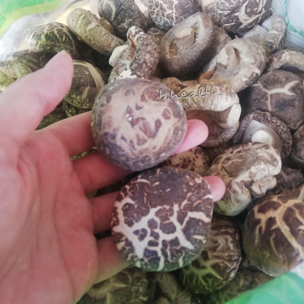 

Dried Shiitake Mushroom Jamur Shitake Kering Hioko Xianggu Xiang Gu