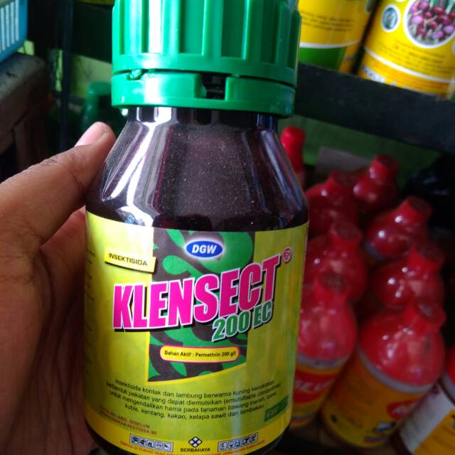 Insektisida Klensect 200EC