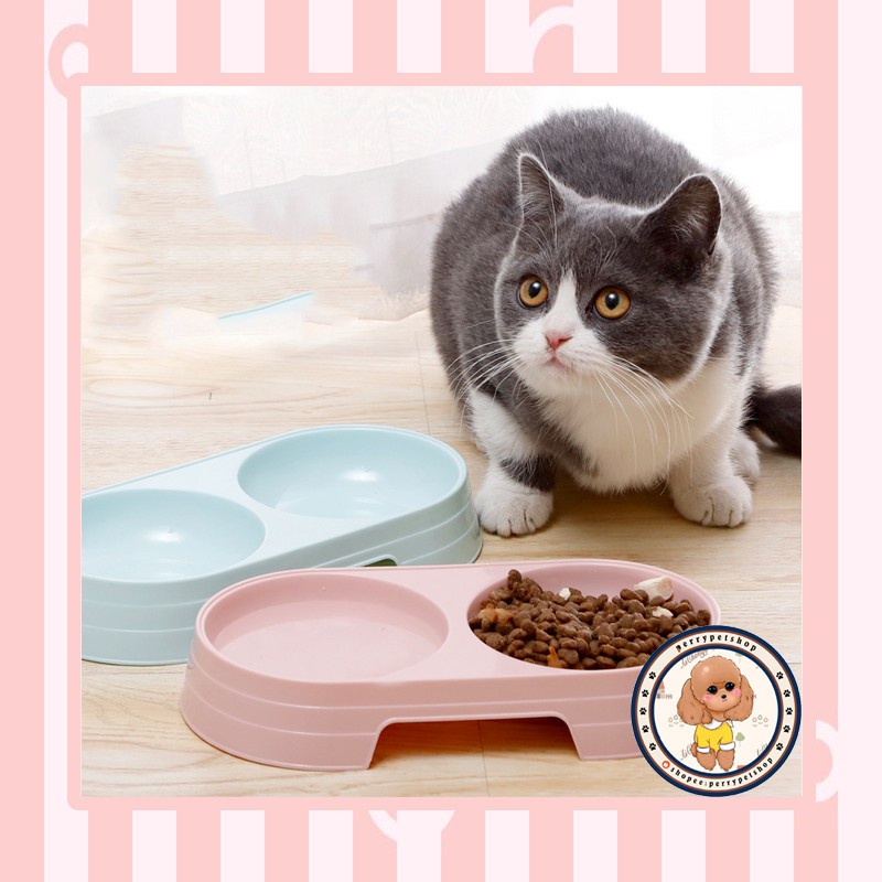 Mangkok Makan Plastik Macaron Untuk Anjing dan Kucing