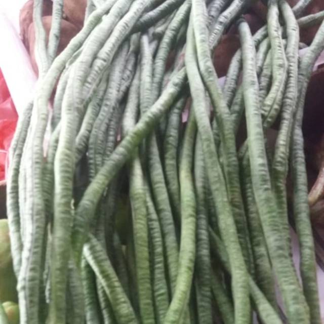 

Kacang panjang