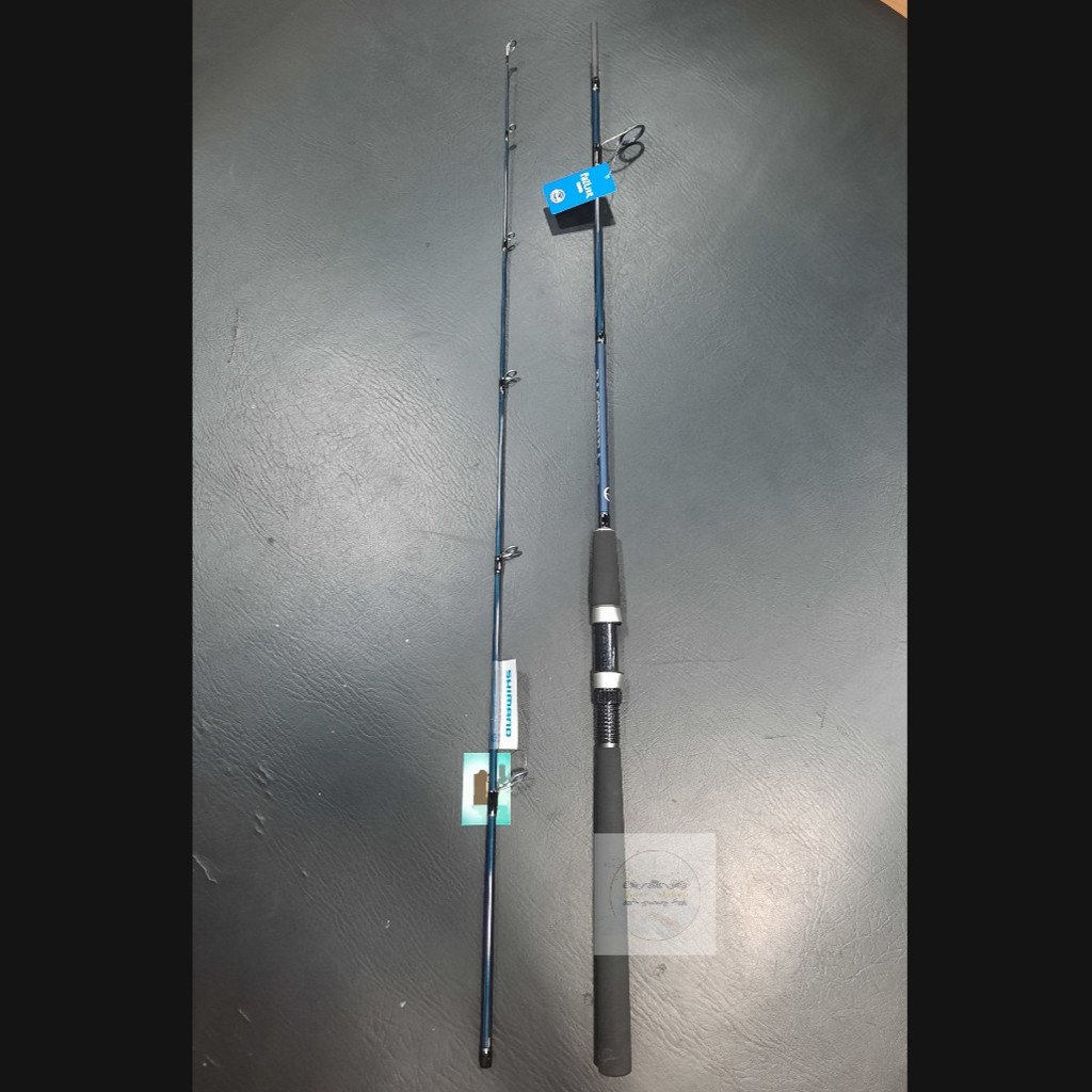 Joran Pancing Shimano BASTERRA EV 19