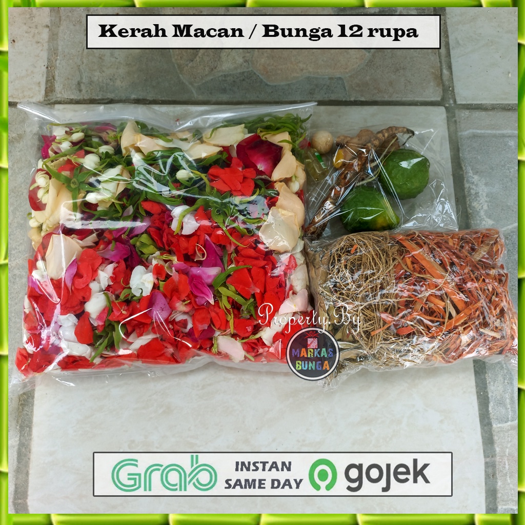 bunga kerah macan mandi / paket mandi