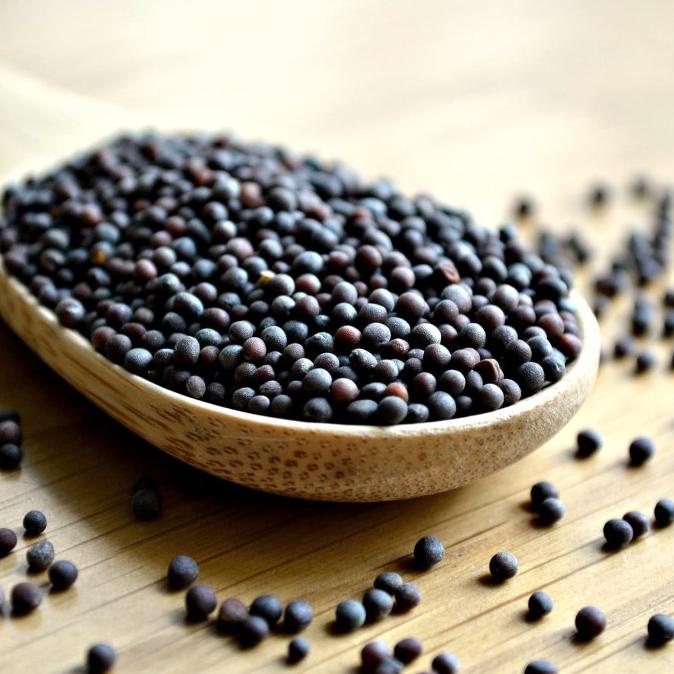 

Silahkan Order] Premium Black Mustard Seeds | Biji Sawi Hitam | Imported From India