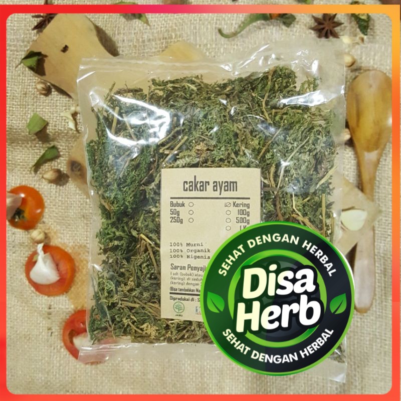 

CAKAR AYAM KERING 1KG - Selaginella doederleinii - MURNI - JSR - REMPAH - PREMIUM QUALITY