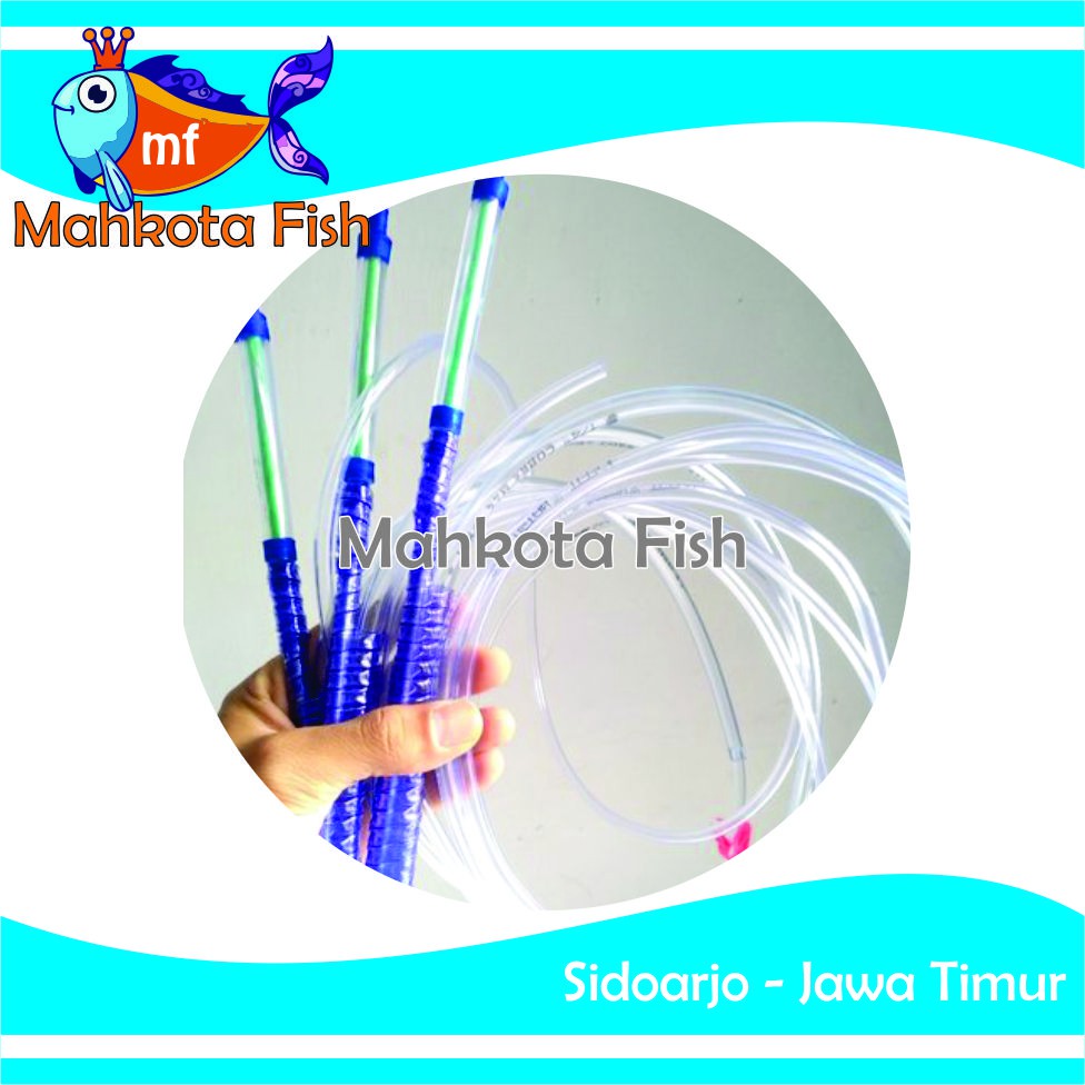 Sifon Cupang | Sipon Cupang | Selang Sifon Aquarium | Sedot Soliter | Kuras Aquarium Kecil