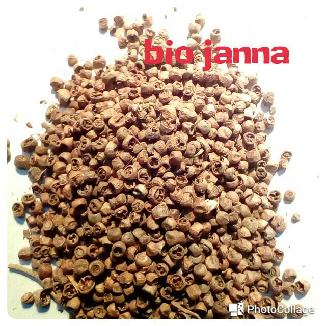 

Mrico bolong/merica bolong 100gr