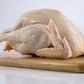 

suplier ayam