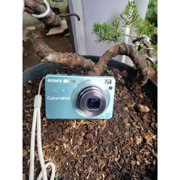 sony w120