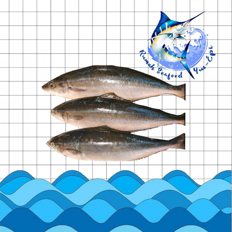 

Ikan Salmon Laut Lokal - rumahseafoodyusepi
