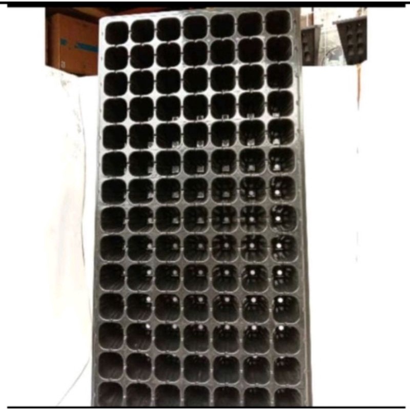 tray semai benih sayuran bahan tebal