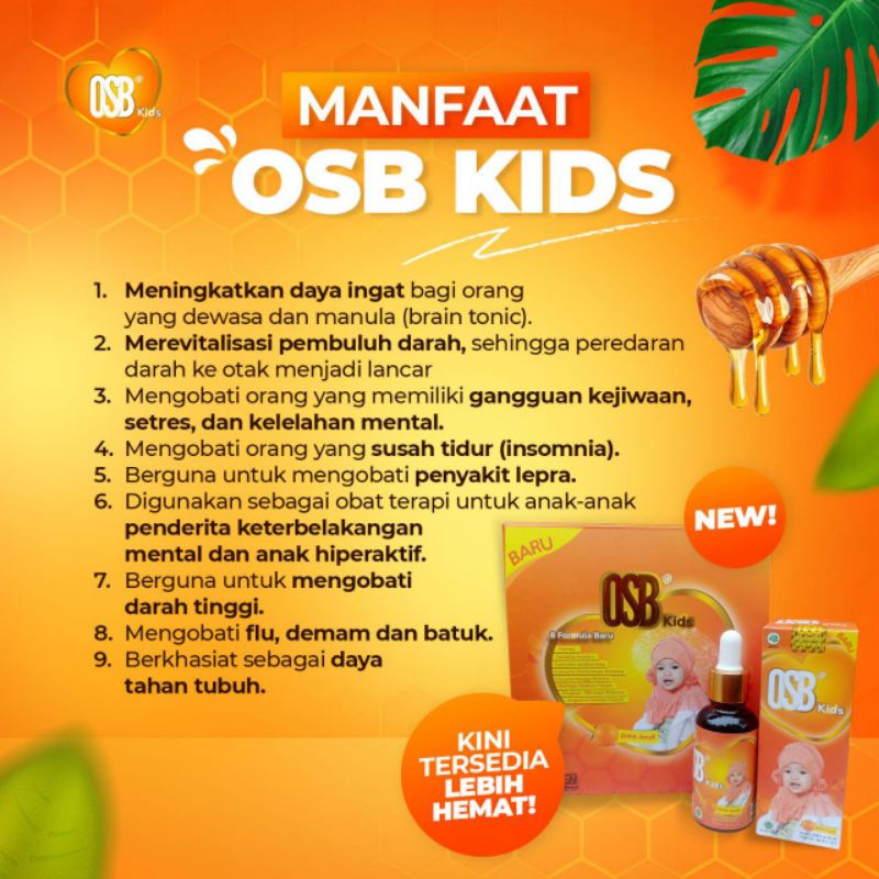OSB KIDS VITAMIN KECERDASAN ANAK (BONUS MADU)