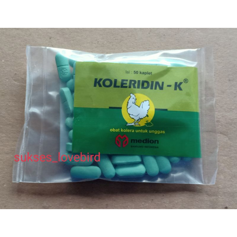 Koleridin kaplet obat kolera ayam