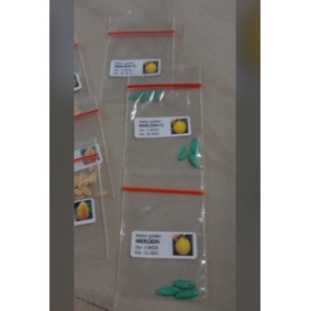 Benih Melon Golden ALISHA F1 - 3 biji