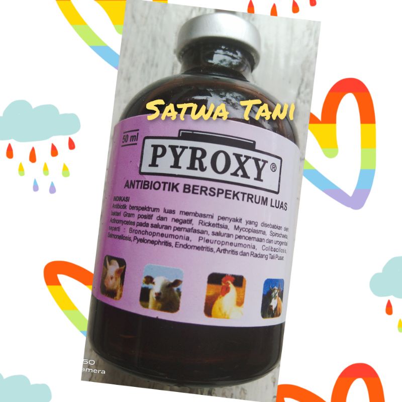 Pyroxy 50 ml (obat modern)