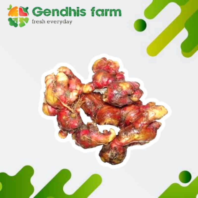 

Jahe Merah Segar [250 g]