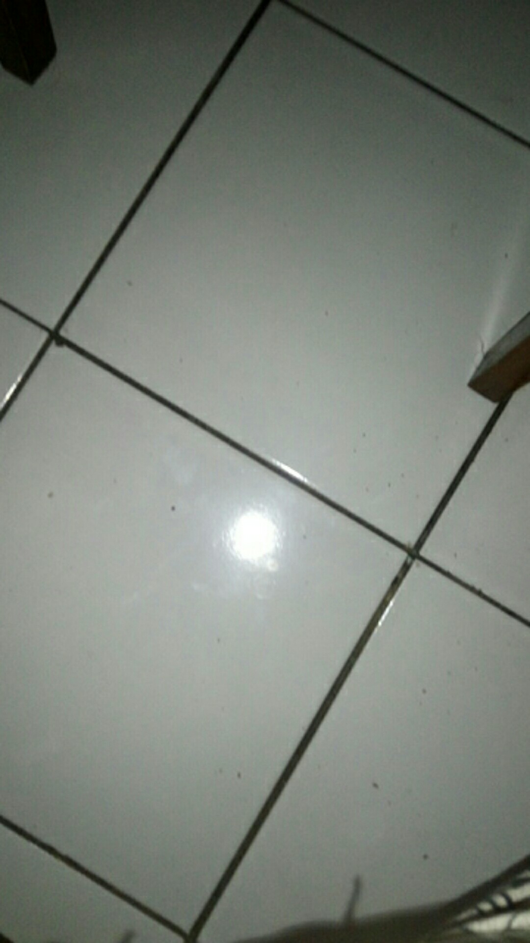 Alat Pembersih Kerak Plak Wc Toilet Keramik Ring X Pumice Stone Murah