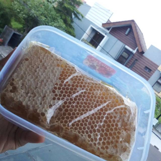 

Sarang Madu