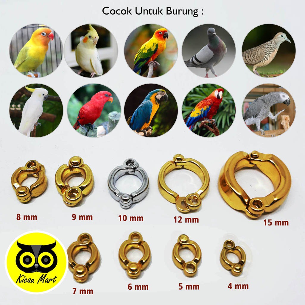RING KAKI BURUNG STAINLESS STEEL IMPORT 10 MM RING GELANG KAKI BURUNG AYAM SERAMA BETINA RCS10M