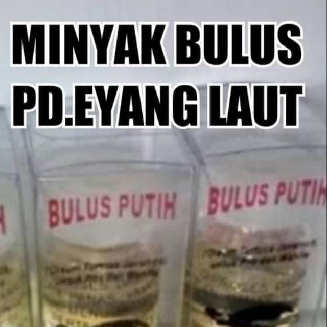 

Minyak-bulus PD. EYANG LAUT