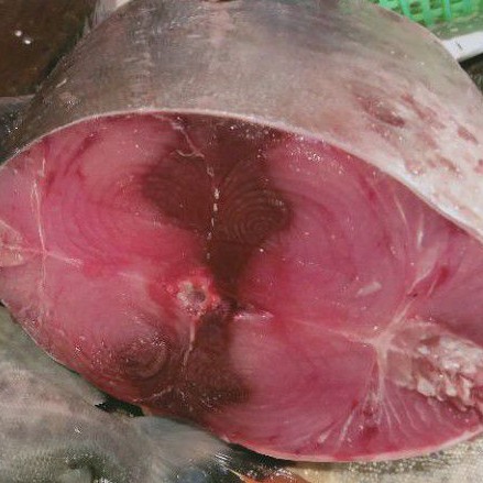

Ikan Tuna Fresh 1 Kg