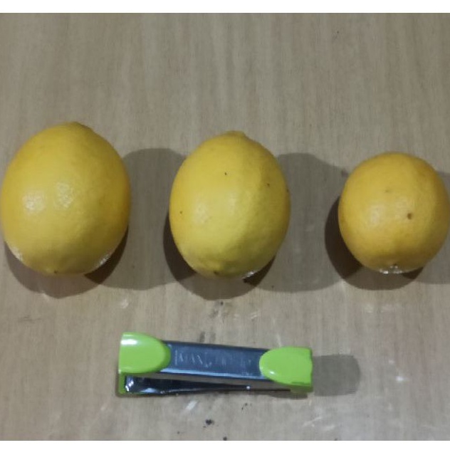 Jeruk Lemon California 1 BUAH Ukuran kecil