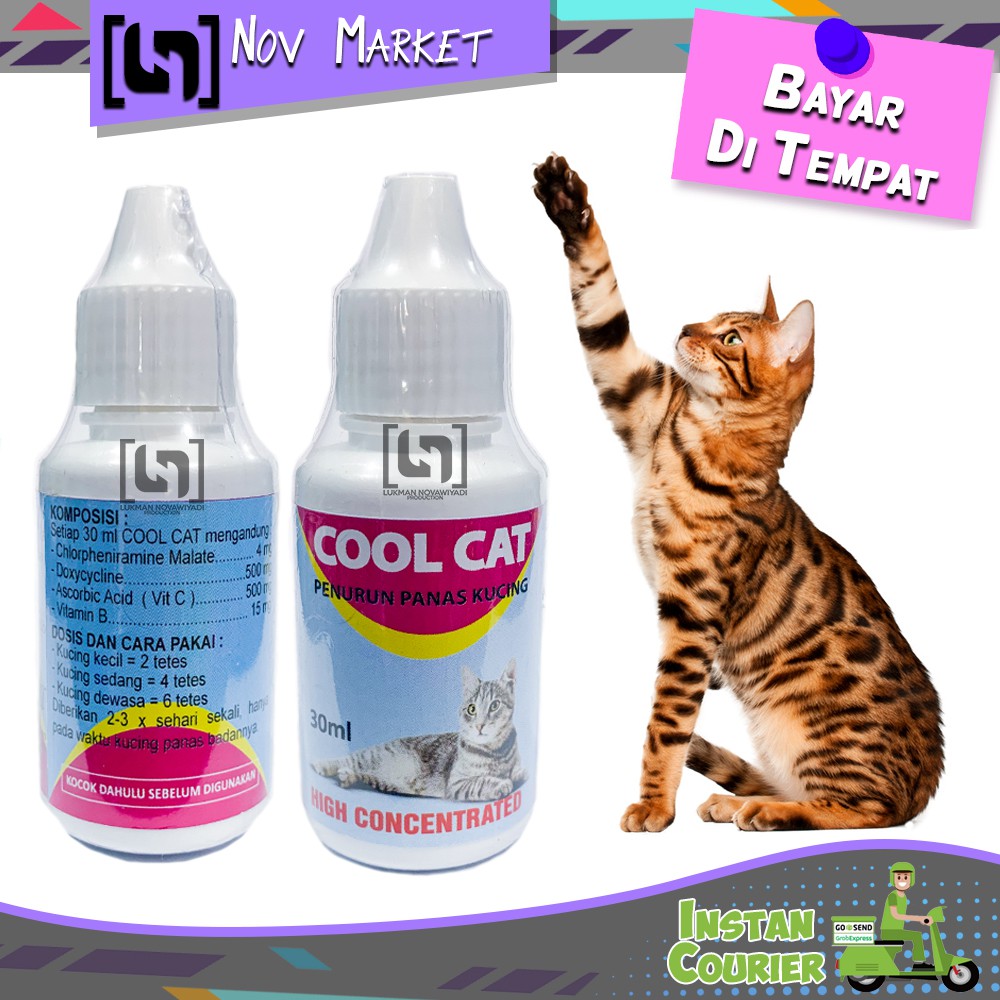 Obat Penurun Sakit Panas Demam Kucing COOL CAT 30ml