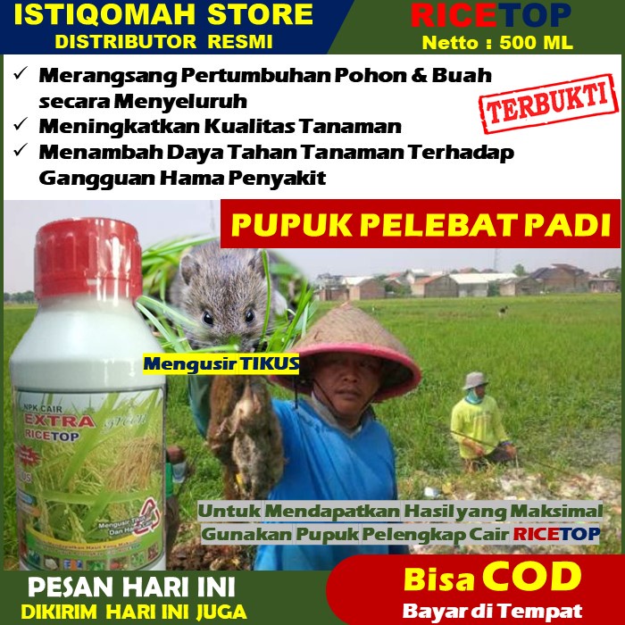 RICETOP 500ml Pupuk Pengusir Tikus - Obat Pembasmi Hama Tikus Di Sawah - Obat Semprot Hama Tanaman P