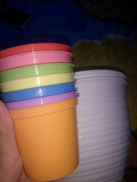 21cm Pot Tawon 21 Budi Jaya