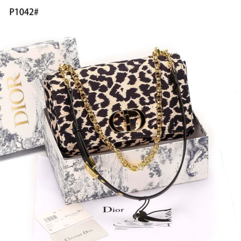 DIOR CARO OBLIQUE SIZE 26 CANVAS