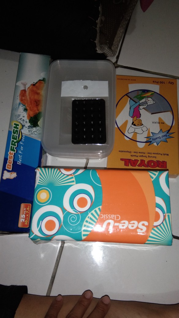 Thinwall Takeaway Container 650ml/box Makan Plastik/tempat Makan Plastik