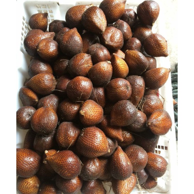 

salak pondoh sleman super | 1 jg