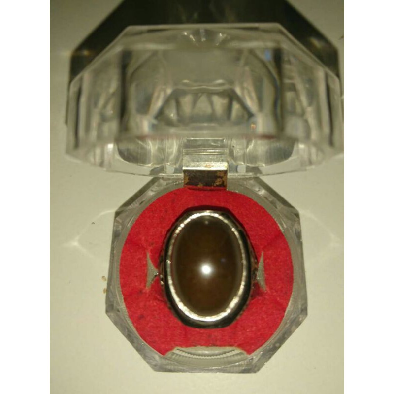 cincin fosil kayu nagasari