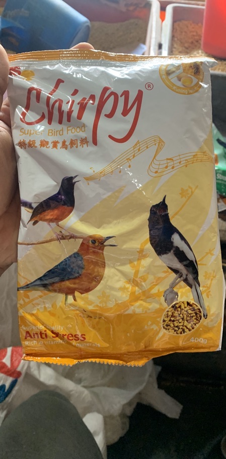 CHIRPY PAKAN BURUNG MURAI KACER JALAK