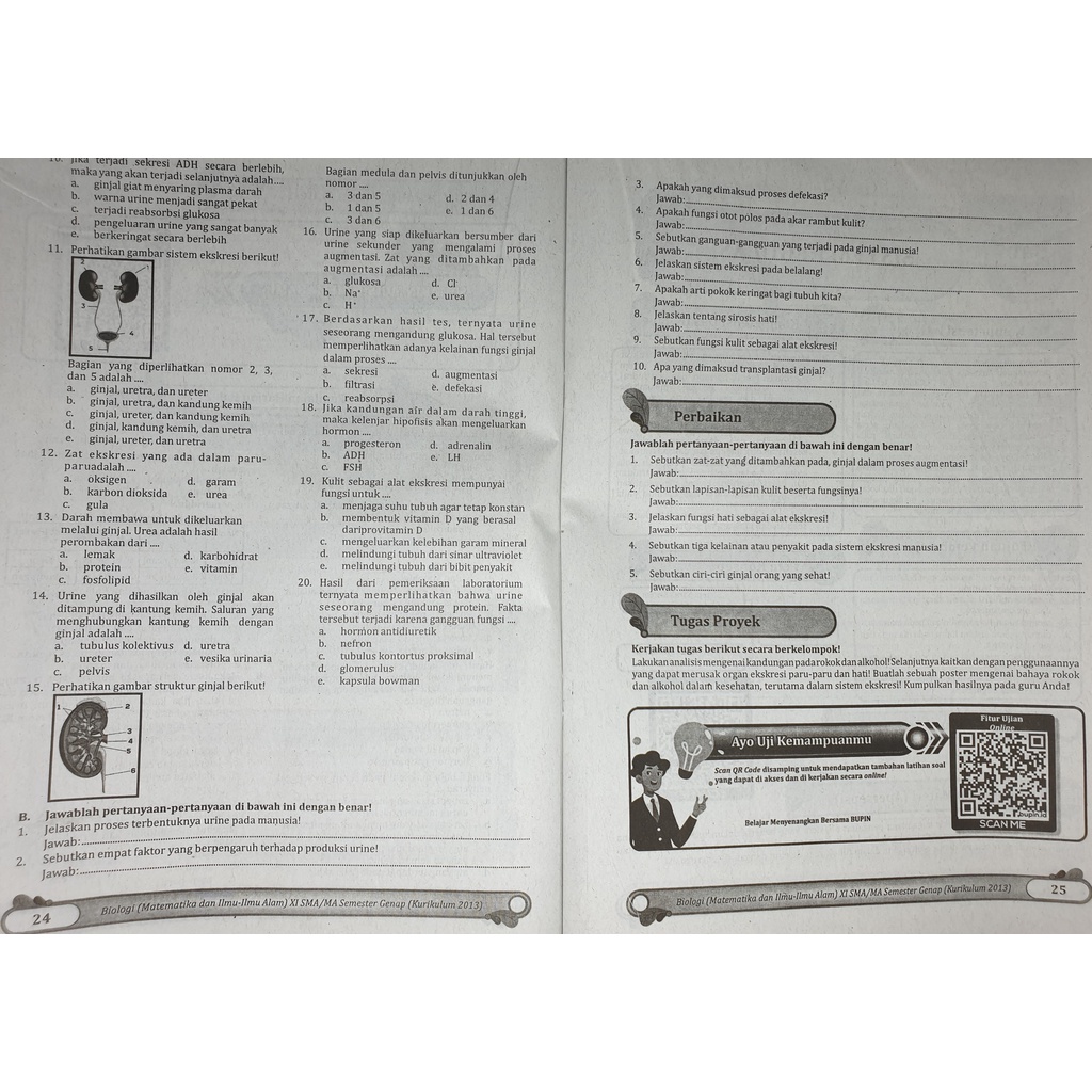 LKS BIOLOGI SMA/ MA KELAS XI 11 SEMESTER 2 2022 | BP-4